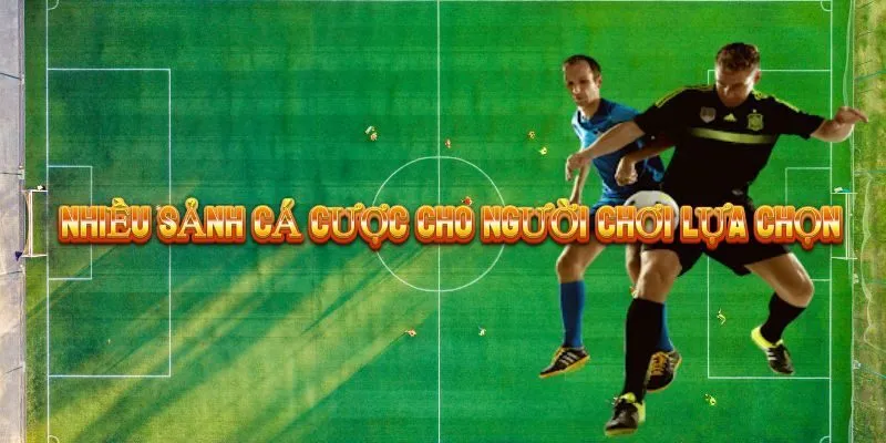 Kèo bóng đá BK8 có đảm bảo tỷ lệ thắng cao không?